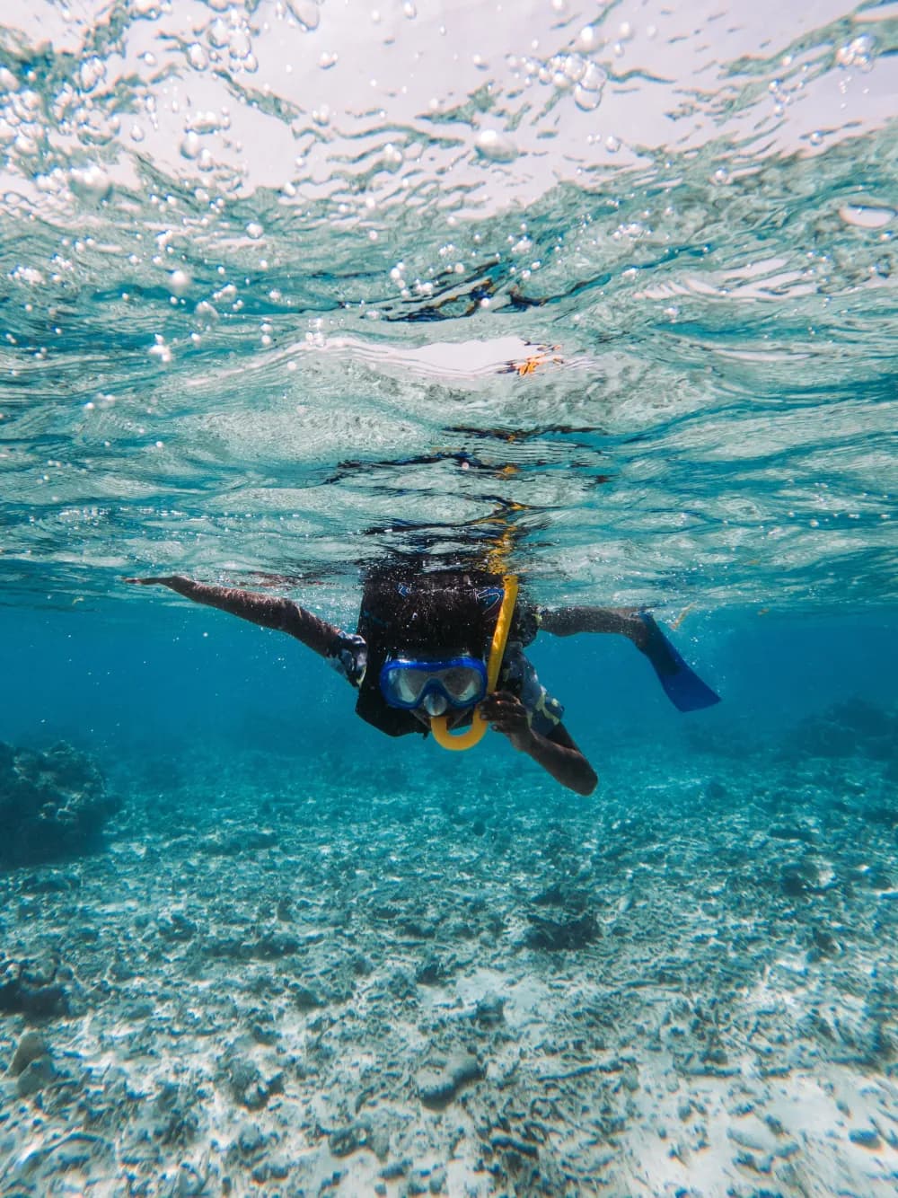 Snorkeling & diving
