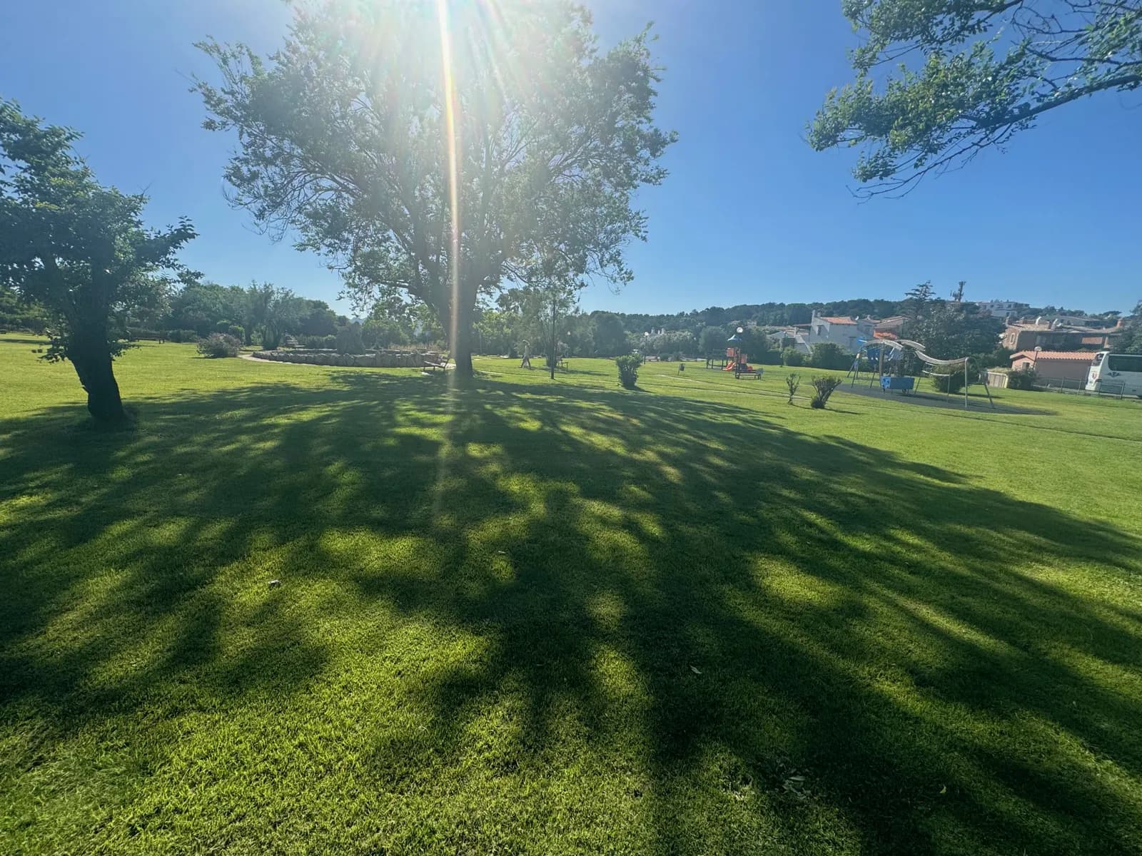 Il giardino